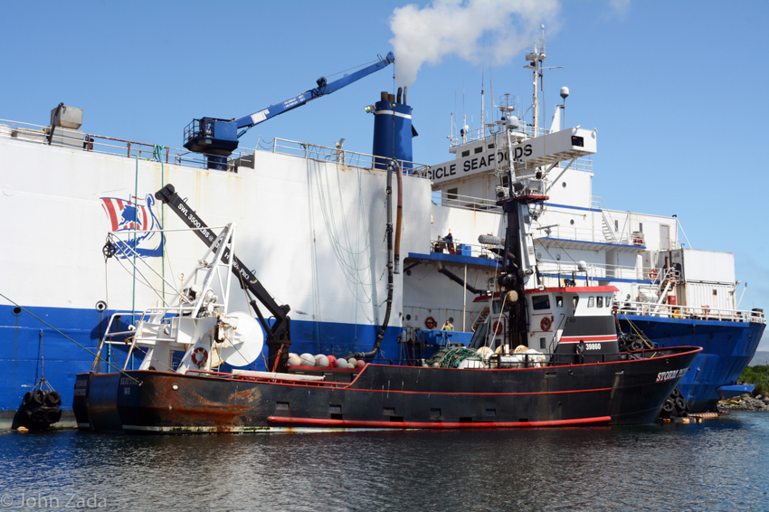 marine--services marine--services